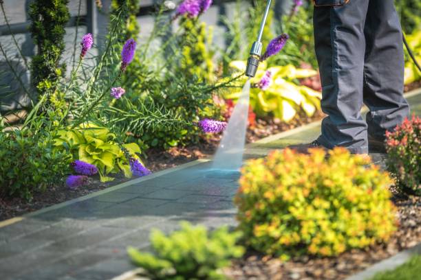 Best Deck and Patio Pressure Washing in Liberty, MO
