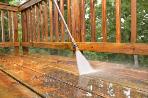 Best Roof Cleaning and Mildew Removal in Liberty, MO